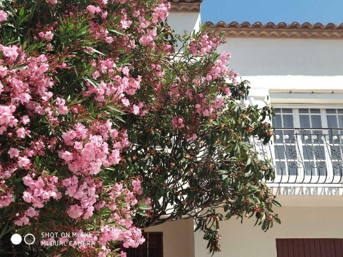 Les Lauriers Roses Apartment Narbonne Exterior foto